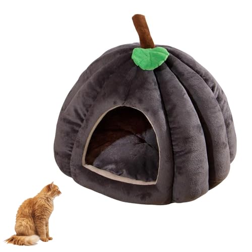 YPDOPORA Katzenbetten Für Hauskatzen, Kürbis-Katzenhaus, Süßes Katzenhöhlenbett in Kürbisform, Katzenzelt Mit Abnehmbarem Kissen, Warmes Höhlennest, Schlafbett, Welpenhaus,Braun,S YPDOPORA Katzenbetten Für Hauskatzen, Kürbis-Katzenhaus, Süßes Katzenhöhlenbett in Kürbisform, Katzenzelt Mit Abnehmbarem Kissen, Warmes Höhlennest, Schlafbett, Welpenhaus,Braun,S von YPDOPORA