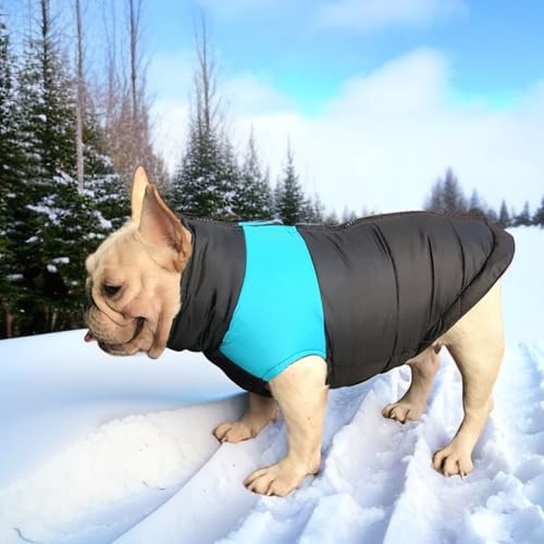 YPDOPORA Kleine Weiche Hunde-Schneejacke Für Den Winter, Hundemäntel Für Große Hunde, Wasserdicht, Wintermantel Für Hunde Mit D-Ring, Kuschelige Rollkragenjacke Für Haustiere, Klein,Blau,2XL YPDOPORA Kleine Weiche Hunde-Schneejacke Für Den Winter, Hundemäntel Für Große Hunde, Wasserdicht, Wintermantel Für Hunde Mit D-Ring, Kuschelige Rollkragenjacke Für Haustiere, Klein,Blau,2XL von YPDOPORA