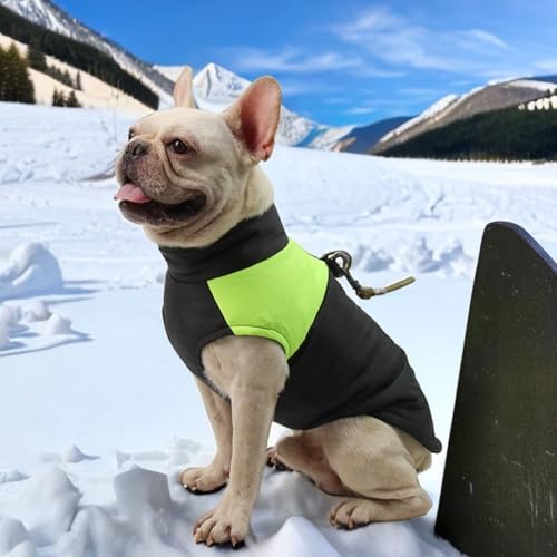 YPDOPORA Kleine Weiche Hunde-Schneejacke Für Den Winter, Hundemäntel Für Große Hunde, Wasserdicht, Wintermantel Für Hunde Mit D-Ring, Kuschelige Rollkragenjacke Für Haustiere, Klein,Grün,M YPDOPORA Kleine Weiche Hunde-Schneejacke Für Den Winter, Hundemäntel Für Große Hunde, Wasserdicht, Wintermantel Für Hunde Mit D-Ring, Kuschelige Rollkragenjacke Für Haustiere, Klein,Grün,M von YPDOPORA