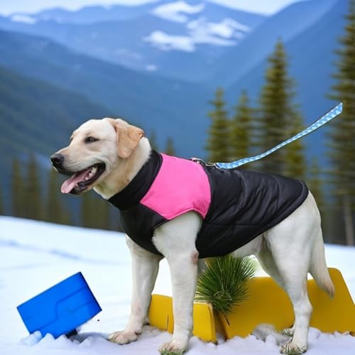 YPDOPORA Kleine Weiche Hunde-Schneejacke Für Den Winter, Hundemäntel Für Große Hunde, Wasserdicht, Wintermantel Für Hunde Mit D-Ring, Kuschelige Rollkragenjacke Für Haustiere, Klein,Rosa,3XL von YPDOPORA