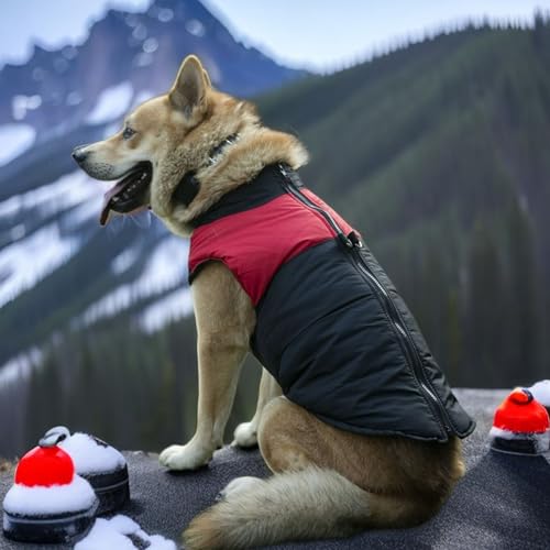 YPDOPORA Kleine Weiche Hunde-Schneejacke Für Den Winter, Hundemäntel Für Große Hunde, Wasserdicht, Wintermantel Für Hunde Mit D-Ring, Kuschelige Rollkragenjacke Für Haustiere, Klein,Rot,M YPDOPORA Kleine Weiche Hunde-Schneejacke Für Den Winter, Hundemäntel Für Große Hunde, Wasserdicht, Wintermantel Für Hunde Mit D-Ring, Kuschelige Rollkragenjacke Für Haustiere, Klein,Rot,M von YPDOPORA