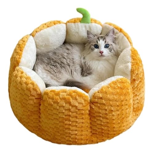 YPDOPORA Kürbis-Katzenbett, Große Kapazität, Haustiermatte, Warmes Katzen- Und Hundebett, Universelles Haustierbett Für Alle Jahreszeiten, Herbst- Und Winter-Hundematratze Für Katzen Und Hunde YPDOPORA Kürbis-Katzenbett, Große Kapazität, Haustiermatte, Warmes Katzen- Und Hundebett, Universelles Haustierbett Für Alle Jahreszeiten, Herbst- Und Winter-Hundematratze Für Katzen Und Hunde von YPDOPORA