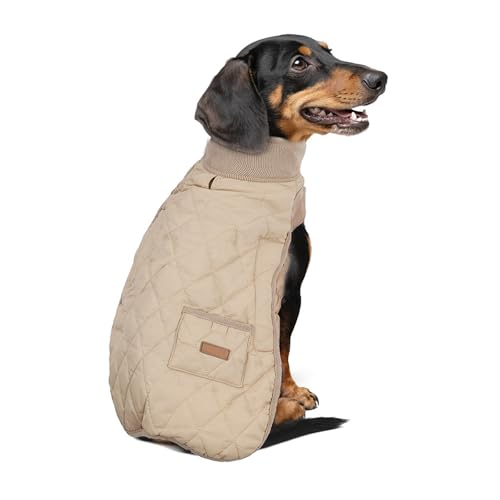 YPDOPORA Langer Dackel-Wintermantel Für Hunde, wasserdichte Dackeljacke, Wasserdichter Dackelmantel, Winterjacke Für Haustiere Mit Leinenloch Und Tasche Für Draußen,Beige,S YPDOPORA Langer Dackel-Wintermantel Für Hunde, wasserdichte Dackeljacke, Wasserdichter Dackelmantel, Winterjacke Für Haustiere Mit Leinenloch Und Tasche Für Draußen,Beige,S von YPDOPORA