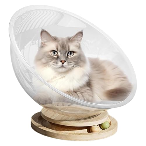 YPDOPORA Niedliches Katzenbett, Halbkugelförmiges Katzenbett Zum Herumlaufen Und Schlafen, Transparentes Katzenbett, Acrylnest, Großes Transparentes Katzenhaus Für Den Innenbereich,L YPDOPORA Niedliches Katzenbett, Halbkugelförmiges Katzenbett Zum Herumlaufen Und Schlafen, Transparentes Katzenbett, Acrylnest, Großes Transparentes Katzenhaus Für Den Innenbereich,L von YPDOPORA