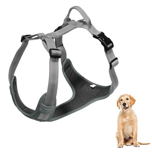 YPDOPORA No Pull Hundegeschirr, Reflektierendes Verstellbares Hundewestengeschirr Mit Griff, Ausbruchsicher, Einfach Anzulegendes Hundegeschirr Aus Weichem Netzgewebe Für Hunde,B,XS YPDOPORA No Pull Hundegeschirr, Reflektierendes Verstellbares Hundewestengeschirr Mit Griff, Ausbruchsicher, Einfach Anzulegendes Hundegeschirr Aus Weichem Netzgewebe Für Hunde,B,XS von YPDOPORA