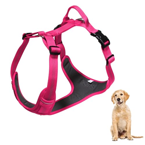 YPDOPORA No Pull Hundegeschirr, Reflektierendes Verstellbares Hundewestengeschirr Mit Griff, Ausbruchsicher, Einfach Anzulegendes Hundegeschirr Aus Weichem Netzgewebe Für Hunde,F,M YPDOPORA No Pull Hundegeschirr, Reflektierendes Verstellbares Hundewestengeschirr Mit Griff, Ausbruchsicher, Einfach Anzulegendes Hundegeschirr Aus Weichem Netzgewebe Für Hunde,F,M von YPDOPORA
