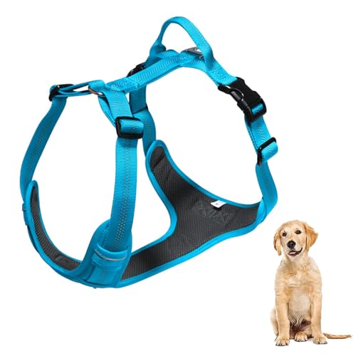 YPDOPORA No Pull Hundegeschirr, Reflektierendes Verstellbares Hundewestengeschirr Mit Griff, Ausbruchsicher, Einfach Anzulegendes Hundegeschirr Aus Weichem Netzgewebe Für Hunde,G,XL YPDOPORA No Pull Hundegeschirr, Reflektierendes Verstellbares Hundewestengeschirr Mit Griff, Ausbruchsicher, Einfach Anzulegendes Hundegeschirr Aus Weichem Netzgewebe Für Hunde,G,XL von YPDOPORA