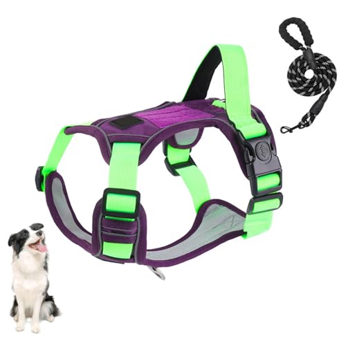 YPDOPORA No Pull Hundegeschirr, Verstellbare Reflektierende Hundeweste Mit Griff, 2 Verdickte Schlösser, 4 Schiebeschnallen, Weiches Oxford-Haustiergeschirr Für Hunde,Lila,L YPDOPORA No Pull Hundegeschirr, Verstellbare Reflektierende Hundeweste Mit Griff, 2 Verdickte Schlösser, 4 Schiebeschnallen, Weiches Oxford-Haustiergeschirr Für Hunde,Lila,L von YPDOPORA