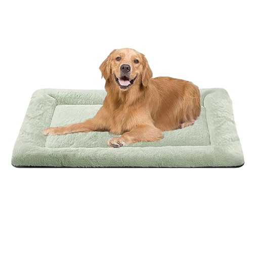 YPDOPORA Orthopädische Hundebettunterlage, Waschbare, Weiche, Flauschige Hundeunterlage, rutschfeste Unterlage Für Hunde, Gemütliche Schlafmatte, Geeignet Für Kleine Und Mittelgroße Hunde,C,S YPDOPORA Orthopädische Hundebettunterlage, Waschbare, Weiche, Flauschige Hundeunterlage, rutschfeste Unterlage Für Hunde, Gemütliche Schlafmatte, Geeignet Für Kleine Und Mittelgroße Hunde,C,S von YPDOPORA
