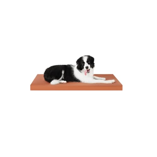 YPDOPORA Orthopädisches Hundebett Für Mittelgroße Hunde, Hundebox-Unterlage Mit Wasserdichtem, Waschbarem Bezug Und Rutschfester Unterseite Für Den Innen- Oder Terrassengebrauch,Braun,S von YPDOPORA