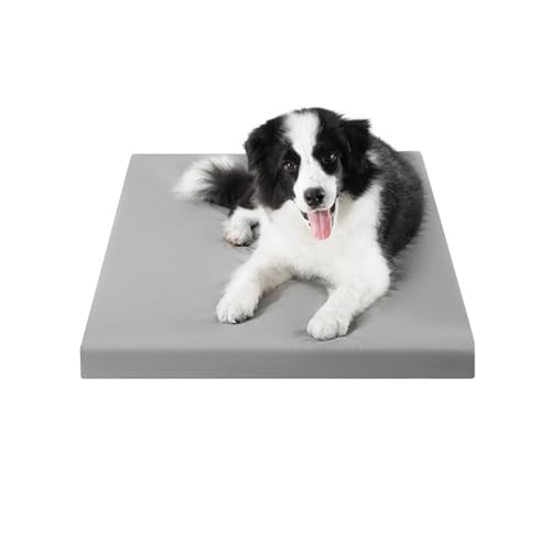 YPDOPORA Orthopädisches Hundebett Für Mittelgroße Hunde, Hundebox-Unterlage Mit Wasserdichtem, Waschbarem Bezug Und Rutschfester Unterseite Für Den Innen- Oder Terrassengebrauch,Silber,M von YPDOPORA