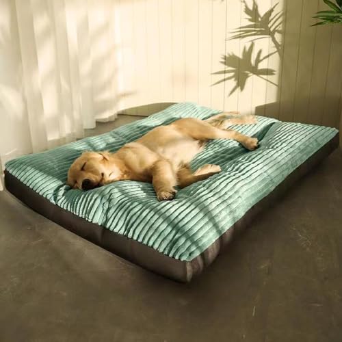 YPDOPORA Orthopädisches Hundebett Für Mittelgroße Hunde, Memory Foam-Füllung, Orthopädische Hundebetten Aus Plüsch Mit Abnehmbarem, Waschbarem Bezug, Wasserdicht Und rutschfest,2XL von YPDOPORA