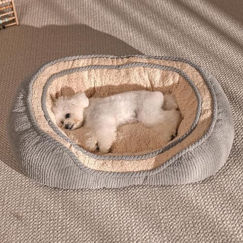 YPDOPORA Orthopädisches Hundebett Für Mittelgroße Und Kleine Hunde, Beruhigende Haustierbetten, Süße, Moderne Betten Mit Wasserdichtem, Abnehmbarem Und Waschbarem Bezug, Rutschfester Unterseite,M YPDOPORA Orthopädisches Hundebett Für Mittelgroße Und Kleine Hunde, Beruhigende Haustierbetten, Süße, Moderne Betten Mit Wasserdichtem, Abnehmbarem Und Waschbarem Bezug, Rutschfester Unterseite,M von YPDOPORA