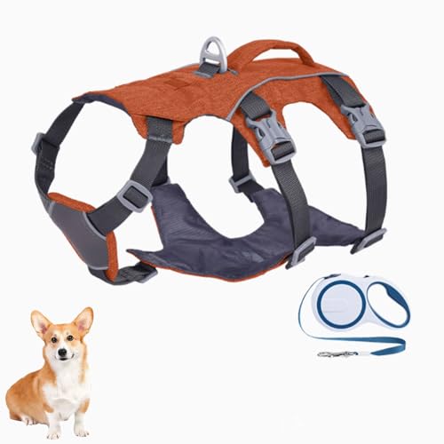 YPDOPORA Proof-Hundegeschirr Mit Griff, Reflektierende Hundeweste, Atmungsaktives, Weiches Ganzkörper-Welpengeschirr Mit Leine Für Kleine, Mittelgroße Und Große Hunde Zum Spazierengehen,Orange,2XS YPDOPORA Proof-Hundegeschirr Mit Griff, Reflektierende Hundeweste, Atmungsaktives, Weiches Ganzkörper-Welpengeschirr Mit Leine Für Kleine, Mittelgroße Und Große Hunde Zum Spazierengehen,Orange,2XS von YPDOPORA