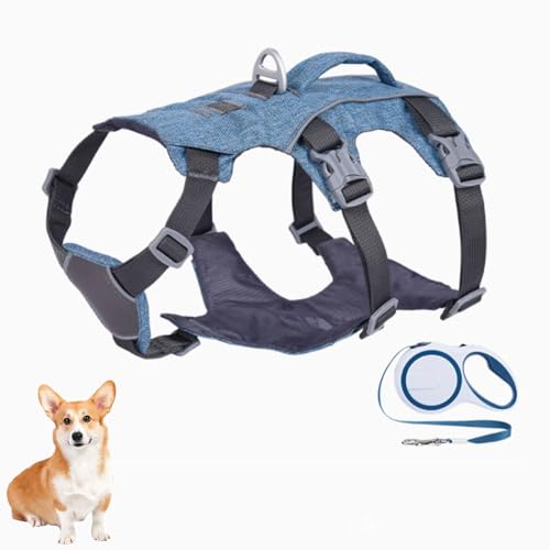 YPDOPORA Proof-Hundegeschirr Mit Griff, Reflektierende Hundeweste, Atmungsaktives, Weiches Ganzkörper-Welpengeschirr Mit Leine Für Kleine, Mittelgroße Und Große Hunde Zum Spazierengehen,Blau,L YPDOPORA Proof-Hundegeschirr Mit Griff, Reflektierende Hundeweste, Atmungsaktives, Weiches Ganzkörper-Welpengeschirr Mit Leine Für Kleine, Mittelgroße Und Große Hunde Zum Spazierengehen,Blau,L von YPDOPORA