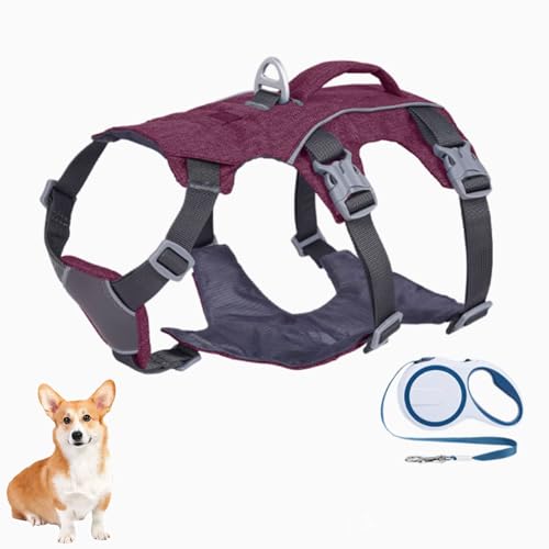 YPDOPORA Proof-Hundegeschirr Mit Griff, Reflektierende Hundeweste, Atmungsaktives, Weiches Ganzkörper-Welpengeschirr Mit Leine Für Kleine, Mittelgroße Und Große Hunde Zum Spazierengehen,Lila,L YPDOPORA Proof-Hundegeschirr Mit Griff, Reflektierende Hundeweste, Atmungsaktives, Weiches Ganzkörper-Welpengeschirr Mit Leine Für Kleine, Mittelgroße Und Große Hunde Zum Spazierengehen,Lila,L von YPDOPORA