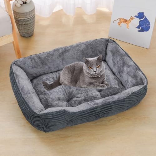 YPDOPORA Quadratisches Haustierbett Aus Plüsch – Kissen Für Katzen Und Kleine Hunde – Kleines Hundebett Für Welpen Und Katzen – Gemütlicher Cord Mit Rutschfester Unterseite, Weich,Grau,S YPDOPORA Quadratisches Haustierbett Aus Plüsch – Kissen Für Katzen Und Kleine Hunde – Kleines Hundebett Für Welpen Und Katzen – Gemütlicher Cord Mit Rutschfester Unterseite, Weich,Grau,S von YPDOPORA