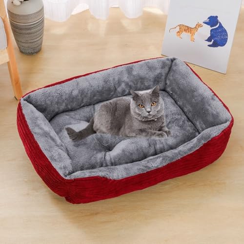 YPDOPORA Quadratisches Haustierbett Aus Plüsch – Kissen Für Katzen Und Kleine Hunde – Kleines Hundebett Für Welpen Und Katzen – Gemütlicher Cord Mit Rutschfester Unterseite, Weich,Rot,M YPDOPORA Quadratisches Haustierbett Aus Plüsch – Kissen Für Katzen Und Kleine Hunde – Kleines Hundebett Für Welpen Und Katzen – Gemütlicher Cord Mit Rutschfester Unterseite, Weich,Rot,M von YPDOPORA