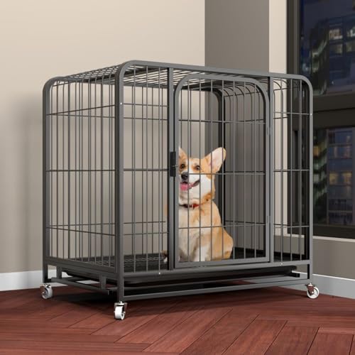 YPDOPORA Robuste, Unzerstörbare Hundebox, Mit Leisen Universalrädern, Ausbruchsicherer Hundekäfig, Mit Abnehmbarem Tablett, Extra Große Box Für Den Innenbereich, Hundebox,A,L YPDOPORA Robuste, Unzerstörbare Hundebox, Mit Leisen Universalrädern, Ausbruchsicherer Hundekäfig, Mit Abnehmbarem Tablett, Extra Große Box Für Den Innenbereich, Hundebox,A,L von YPDOPORA