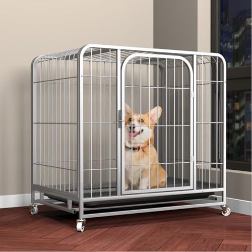 YPDOPORA Robuste, Unzerstörbare Hundebox, Mit Leisen Universalrädern, Ausbruchsicherer Hundekäfig, Mit Abnehmbarem Tablett, Extra Große Box Für Den Innenbereich, Hundebox,B,L YPDOPORA Robuste, Unzerstörbare Hundebox, Mit Leisen Universalrädern, Ausbruchsicherer Hundekäfig, Mit Abnehmbarem Tablett, Extra Große Box Für Den Innenbereich, Hundebox,B,L von YPDOPORA