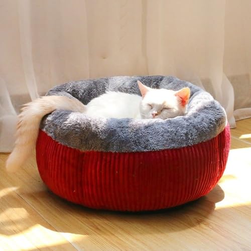 YPDOPORA Süßes Katzenbett, Selbstwärmendes Atheistisches Haustier-Plüsch-Donut-Matte, Flauschiges, Rutschfestes Katzennest, Beruhigend Für Hauskatzen Und Kleine Hunde,Rot,S YPDOPORA Süßes Katzenbett, Selbstwärmendes Atheistisches Haustier-Plüsch-Donut-Matte, Flauschiges, Rutschfestes Katzennest, Beruhigend Für Hauskatzen Und Kleine Hunde,Rot,S von YPDOPORA