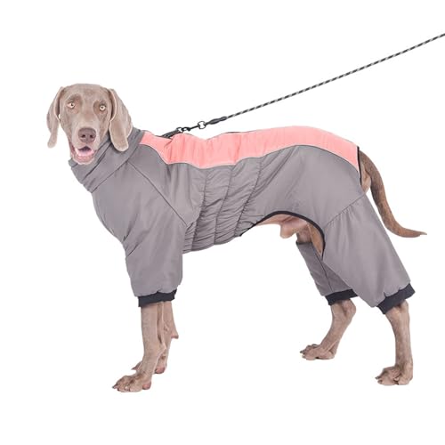 YPDOPORA Warmer Haustiermantel Für Kaltes Wetter, Größe M, Schneejacke Für Hunde Im Winter, Reflektierende, wasserdichte Hundejacke Mit Reißverschluss, Loch Für Geschirr Für Kaltes Wetter,Rosa,XL YPDOPORA Warmer Haustiermantel Für Kaltes Wetter, Größe M, Schneejacke Für Hunde Im Winter, Reflektierende, wasserdichte Hundejacke Mit Reißverschluss, Loch Für Geschirr Für Kaltes Wetter,Rosa,XL von YPDOPORA