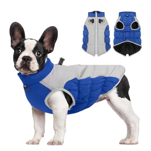 YPDOPORA Warmer Hundemantel Für Kaltes Wetter, Hundemäntel Für Kleine Hunde, Winterwasserdicht, Dicke, Warme, Reflektierende Haustierjacke, Wintermantel Für Haustiere Mit D-Ring Für Hunde,Blau,6XL YPDOPORA Warmer Hundemantel Für Kaltes Wetter, Hundemäntel Für Kleine Hunde, Winterwasserdicht, Dicke, Warme, Reflektierende Haustierjacke, Wintermantel Für Haustiere Mit D-Ring Für Hunde,Blau,6XL von YPDOPORA