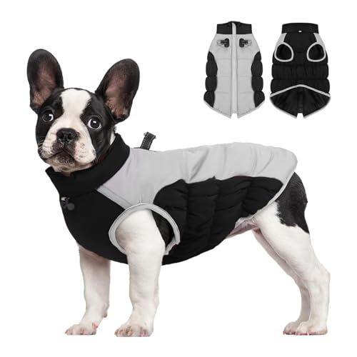 YPDOPORA Warmer Hundemantel Für Kaltes Wetter, Hundemäntel Für Kleine Hunde, Winterwasserdicht, Dicke, Warme, Reflektierende Haustierjacke, Wintermantel Für Haustiere Mit D-Ring Für Hunde,Schwarz,5XL YPDOPORA Warmer Hundemantel Für Kaltes Wetter, Hundemäntel Für Kleine Hunde, Winterwasserdicht, Dicke, Warme, Reflektierende Haustierjacke, Wintermantel Für Haustiere Mit D-Ring Für Hunde,Schwarz,5XL von YPDOPORA