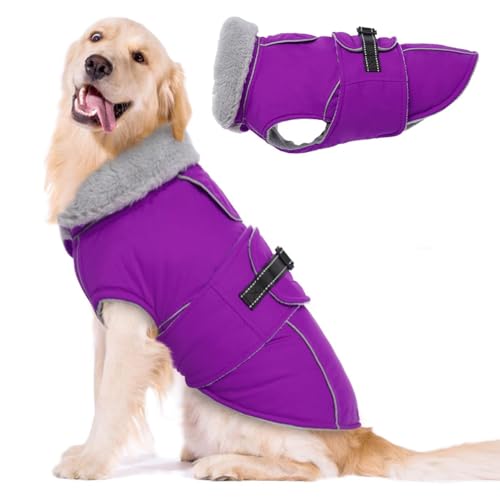 YPDOPORA Warmer Hundewintermantel, Fleecegefütterte Warme Winterhundejacke Groß, Hundewintermäntel Wasserdicht, Haustierjacke Mit Geschirrloch Für Kleine, Mittelgroße Und Große Hunde,Lila,L von YPDOPORA