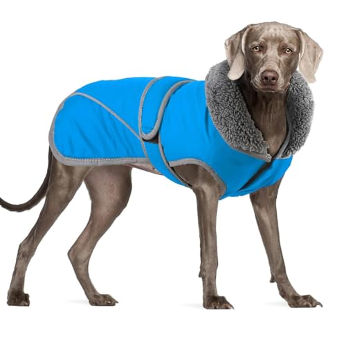 YPDOPORA Warmer Hundewintermantel, wasserdichte Hundemäntel Für Kleine Hunde, Kuschelige Rollkragenjacke Für Haustiere, Mittelgroß, Reflektierende, Verstellbare Haustierjacke Für Hunde,Blau,S von YPDOPORA