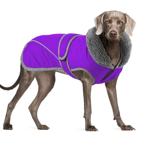 YPDOPORA Warmer Hundewintermantel, wasserdichte Hundemäntel Für Kleine Hunde, Kuschelige Rollkragenjacke Für Haustiere, Mittelgroß, Reflektierende, Verstellbare Haustierjacke Für Hunde,Lila,3XL YPDOPORA Warmer Hundewintermantel, wasserdichte Hundemäntel Für Kleine Hunde, Kuschelige Rollkragenjacke Für Haustiere, Mittelgroß, Reflektierende, Verstellbare Haustierjacke Für Hunde,Lila,3XL von YPDOPORA