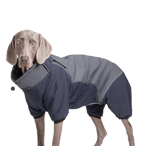 YPDOPORA Warmer Wintermantel Für Hunde, wasserdichte Haustiermäntel Für Große Hunde Im Winter, Rollkragenmantel Für Hunde Mit Reißverschluss Und Reflektorstreifen, Pufferjacke Für Hunde,Blau,3XL YPDOPORA Warmer Wintermantel Für Hunde, wasserdichte Haustiermäntel Für Große Hunde Im Winter, Rollkragenmantel Für Hunde Mit Reißverschluss Und Reflektorstreifen, Pufferjacke Für Hunde,Blau,3XL von YPDOPORA