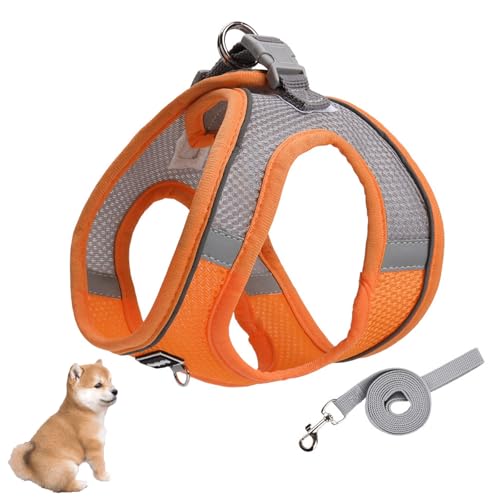 YPDOPORA Weiches Netz-Hundegeschirr Und Leinen-Set, No Escape Easy Walk-Welpengeschirre Für Das Spazierengehen-Training, Reflektierende, Verstellbare Welpenweste Für Hunde, Katzen,Orange,S YPDOPORA Weiches Netz-Hundegeschirr Und Leinen-Set, No Escape Easy Walk-Welpengeschirre Für Das Spazierengehen-Training, Reflektierende, Verstellbare Welpenweste Für Hunde, Katzen,Orange,S von YPDOPORA