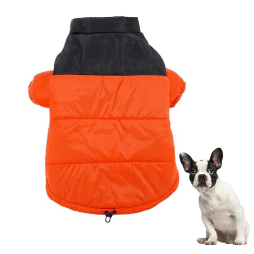 YPDOPORA Winddichte Welpenjacke Mit Rollkragen, Warmer Hundemantel Für Kaltes Wetter, Warmer Hundemantel Mit Integriertem, Wasserdichtem Geschirr, Wintermantel Für Hunde,Orange,XL YPDOPORA Winddichte Welpenjacke Mit Rollkragen, Warmer Hundemantel Für Kaltes Wetter, Warmer Hundemantel Mit Integriertem, Wasserdichtem Geschirr, Wintermantel Für Hunde,Orange,XL von YPDOPORA