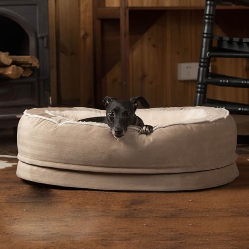 YPDOPORA Zwinger Für Den Winter, Warm, Für Vier Jahreszeiten, Universell Einsetzbar, Plus Plüsch, Dick, Groß, Bissfest, Goldenes Haar, Teddy, Katzenzwinger, Hundebett, Waschbar,Beige,XL YPDOPORA Zwinger Für Den Winter, Warm, Für Vier Jahreszeiten, Universell Einsetzbar, Plus Plüsch, Dick, Groß, Bissfest, Goldenes Haar, Teddy, Katzenzwinger, Hundebett, Waschbar,Beige,XL von YPDOPORA