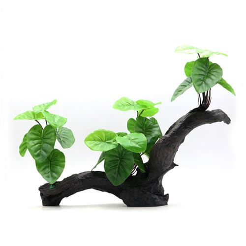 YPREWY Aquarien, natürliche Bäume, Pflanzen, Aquarien, Dekoration, Haltbarkeit, Harze, Baum zur Verbesserung der Fisch- und Garnelenumgebung YPREWY Aquarien, natürliche Bäume, Pflanzen, Aquarien, Dekoration, Haltbarkeit, Harze, Baum zur Verbesserung der Fisch- und Garnelenumgebung von YPREWY