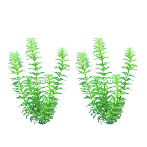 YPREWY Aquarien Landschaft Gras Aquarien Dekorationen Kunst Terrarium Habitat Ornamente Foto Requisiten von YPREWY