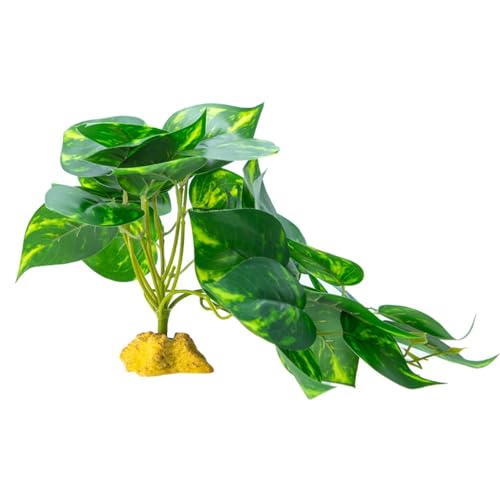 YPREWY Aquarien Reptilien Klettergras Terrarium Pflanze Aquarium Dekoration Terrarium für Eidechsen Schlange YPREWY Aquarien Reptilien Klettergras Terrarium Pflanze Aquarium Dekoration Terrarium für Eidechsen Schlange von YPREWY