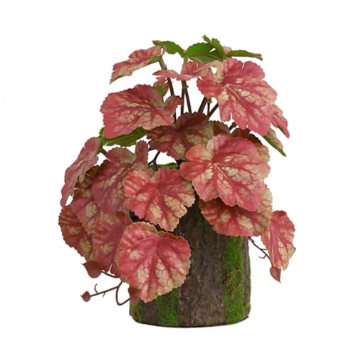 YPREWY Aquarium-Dekoration, Terrarienpflanze, Aquarium-Dekoration für Eidechsen, Lebensraum von YPREWY