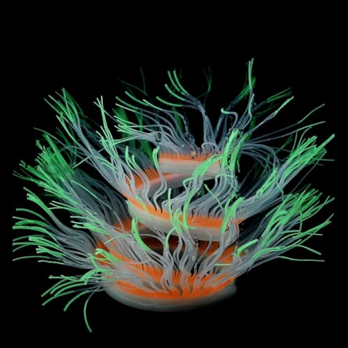 YPREWY Aquarium-Dekoration, leuchtende Seeanemonen-Fischtanks Unterwasser-Ornament, Landschaftsbau, Dekoration für Fischhemmpen YPREWY Aquarium-Dekoration, leuchtende Seeanemonen-Fischtanks Unterwasser-Ornament, Landschaftsbau, Dekoration für Fischhemmpen von YPREWY