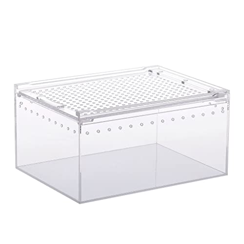 YPREWY Box Feeding Kleines Haustier Hahnrei Eidechsen Snail Schlange klar entworfen Box Schlange Schlange Schlangenhaus Schlange Haus Schlange von YPREWY