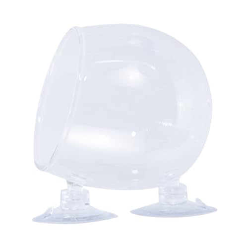 YPREWY Glas-Aquarien Pflanzbecher für verschiedene Aquarien mit Saugnapf für Süßwasser Salzwasser Aquarien Landschaft Pflanzbecher von YPREWY