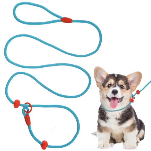 Retrieverleine, Hundeleine, 1,5 m, Welpen-Trainingsleine, strapazierfähig, verstellbar, Nylon, kein Ziehen, Trainingsleine für kleine Hunde Retrieverleine, Hundeleine, 1,5 m, Welpen-Trainingsleine, strapazierfähig, verstellbar, Nylon, kein Ziehen, Trainingsleine für kleine Hunde von YQQYG
