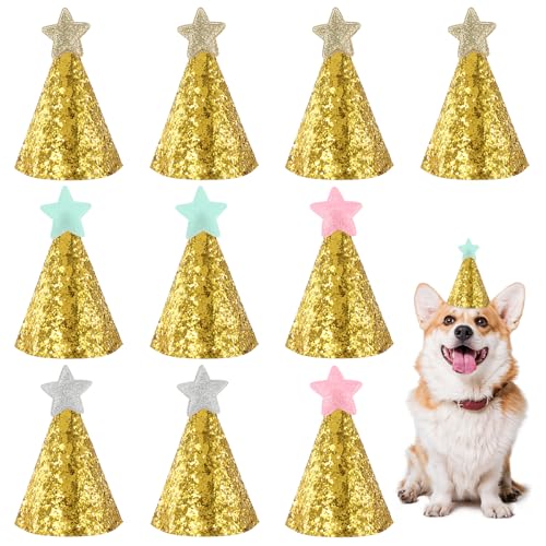 YQQYG Hunde-Geburtstagshut, Mini-Partyhüte für Stofftiere, verstellbarer Geburtstagshut, Sterndekoration, Haustierhüte für Urlaub, Hochzeit, Welpen, Kätzchen, Kaninchen, Kostüm-Zubehör, 10 Stück YQQYG Hunde-Geburtstagshut, Mini-Partyhüte für Stofftiere, verstellbarer Geburtstagshut, Sterndekoration, Haustierhüte für Urlaub, Hochzeit, Welpen, Kätzchen, Kaninchen, Kostüm-Zubehör, 10 Stück von YQQYG