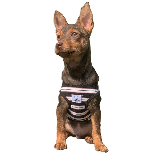 YQYS Haustier-Hunde-Shirts, gestreiftes Welpen-Shirt, Baumwollweste für kleine Hunde und Katzen, Tanktop für Welpen, Jungen und Mädchen, Teetasse, Hundebekleidung für Chihuahua, Yorkie, von YQYS