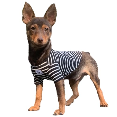 YQYS Haustier-Hunde-T-Shirts, Baumwoll-T-Shirt für kleine Hunde und Katzen, gestreifte Welpenkleidung, Hundebekleidung für Welpen, Jungen, Mädchen, Teetasse, Hundebekleidung für Chihuahua, Yorkie, von YQYS