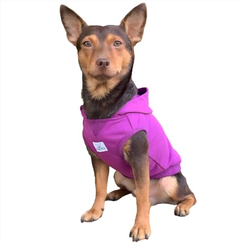 YQYS Hunde-Kapuzenpullover, ärmellos, Baumwolle, Sweatshirts für kleine Hunde und Kätzchen, Chihuahua-Kleidung, Teetasse, Welpen, Kleidung, kaltes Wetter, Ropa para Perro, Violett, Größe XS YQYS Hunde-Kapuzenpullover, ärmellos, Baumwolle, Sweatshirts für kleine Hunde und Kätzchen, Chihuahua-Kleidung, Teetasse, Welpen, Kleidung, kaltes Wetter, Ropa para Perro, Violett, Größe XS von YQYS