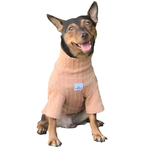 YQYS Hunde-Rollkragenpullover für kleine Hunde und Kätzchen, dick, warm, niedlich, für Katzen, Teetasse, Hundekleidung, Welpenbekleidung, Ropa Para, Perro, Khaki, Größe XL von YQYS