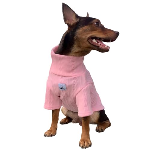 YQYS Hunde-Rollkragenpullover für kleine Hunde und Kätzchen, dick, warm, niedlich, für Katzen, Teetasse, Hundekleidung, Welpenbekleidung, Ropa para Perro, Pink, Größe XXS YQYS Hunde-Rollkragenpullover für kleine Hunde und Kätzchen, dick, warm, niedlich, für Katzen, Teetasse, Hundekleidung, Welpenbekleidung, Ropa para Perro, Pink, Größe XXS von YQYS