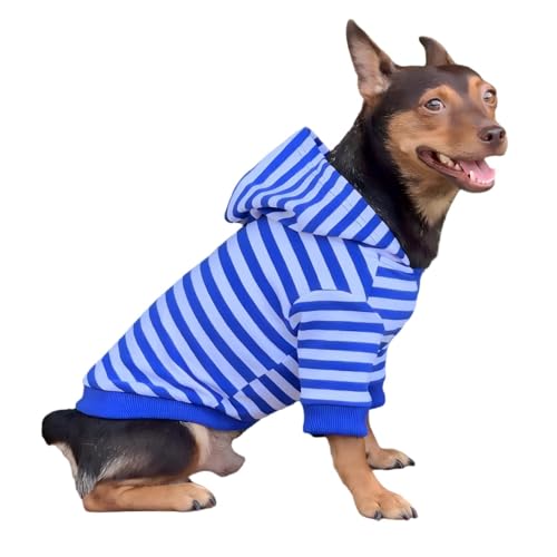 YQYS Sweatshirt für kleine Hunde mit Loch für die Leine, gestreift, elastisch, Baumwolle, für Chihuahua, Yorkie, Miniaturepinscher, atmungsaktiv, lässige Welpenbekleidung für drinnen und draußen, Blau von YQYS